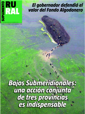 Bajos Submeridionales: una acción conjunta de tres provincias es indispensable