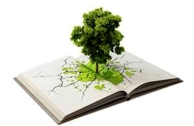 Ambientes naturales y vacaciones