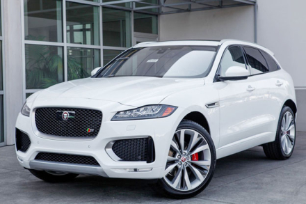 jaguar.jpg