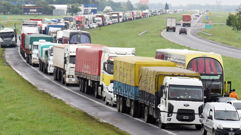 Rige en todo el país la licencia digital para conductores profesionales