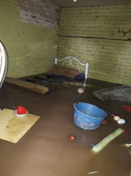 brenas3.jpg