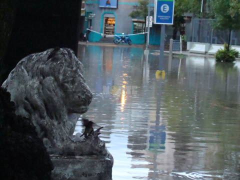 Resistencia lluvia sabado.jpg