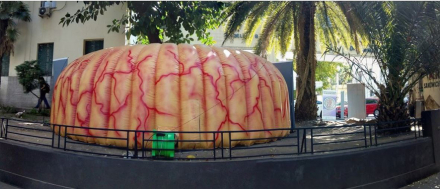 colon gigante 5.JPG