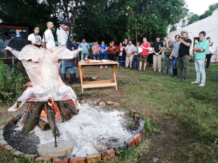 gastro2.jpg