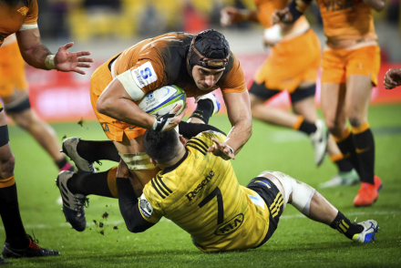 jaguares.jpg