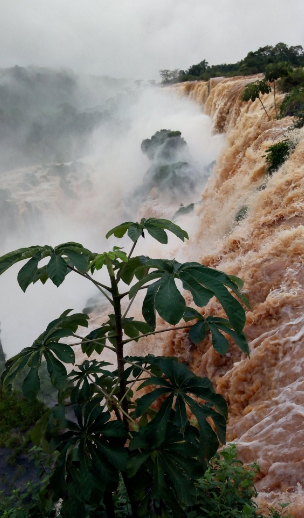 cataratas1.jpg
