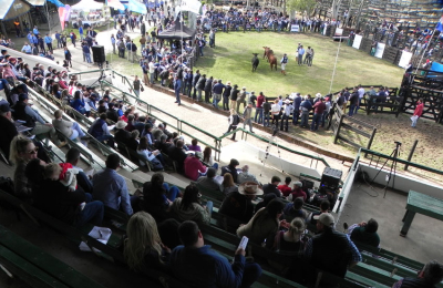 Críticas al gobierno nacional y solidaridad con los productores en el inicio de la exposición Brangus