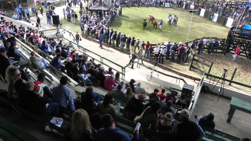 Críticas al gobierno nacional y solidaridad con los productores en el inicio de la exposición Brangus