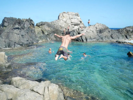 ARUBA5.jpg
