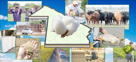 DIBUJO-RURAL-3-JULIO.jpg