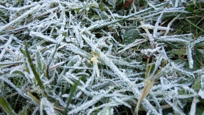 Varias ciudades del Chaco amanecieron con heladas y temperaturas bajo cero