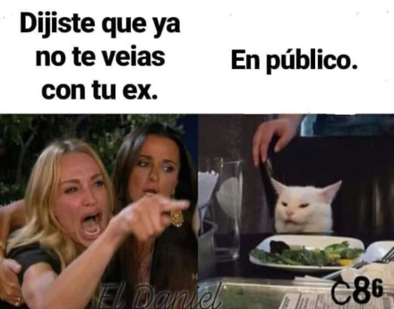 meme-gato4.jpg