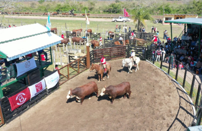 Buenos precios y ágil martillo para un remate a pleno sol de Caá Cupé