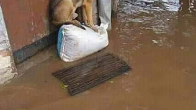 España: cede la tormenta, pero siguen las evacuaciones
