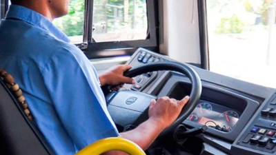 ¿Porqué se celebra hoy el Día del Colectivero?