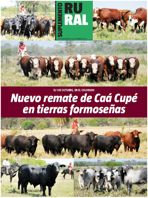 Nuevo remate de Caá Cupé en tierras formoseñas