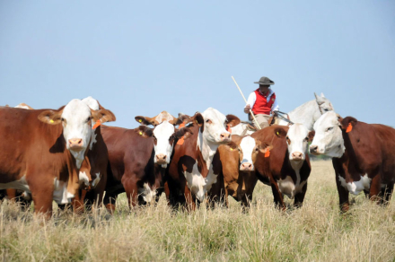 rural4.jpg