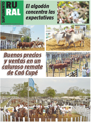 Buenos precios y ventas en un caluroso remate de Caá Cupé