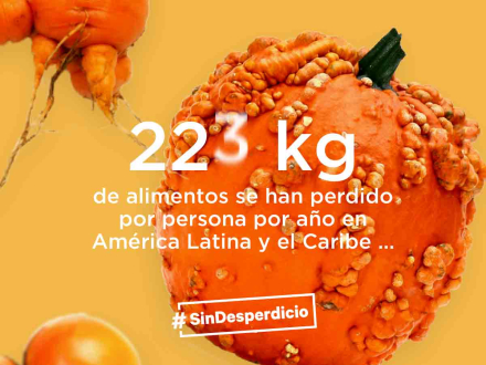 Mermas-alimentarias_.jpg