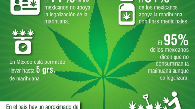 Senadores mexicanos despenalizarán el consumo de marihuana