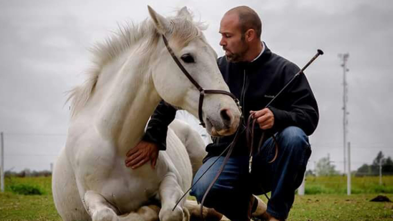 Trabajo en libertad, un método para encontrar un equilibrio y preservar la salud de los caballos ?