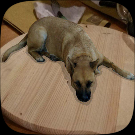 perro.jpg