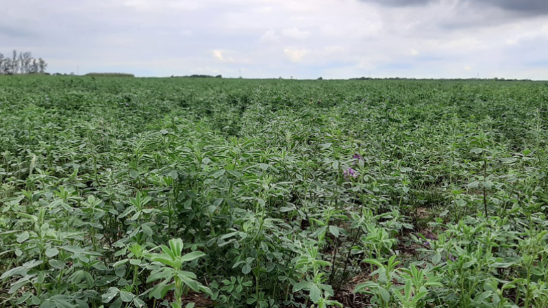La lluvia volvió al sudoeste con importantes y variados milimetrajes