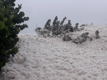 Espuma de mar.jpg