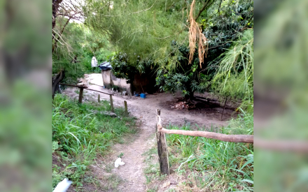 allanamientos01.jpg