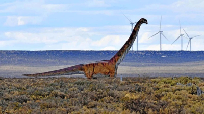 Tomaba mate y encontró los restos de un Titanosaurio