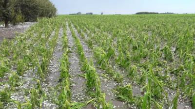 Granizada histórica en varias provincias