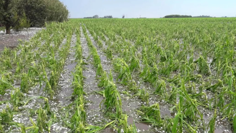 Granizada histórica en varias provincias