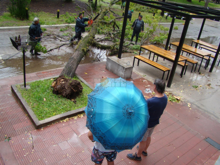 tormenta rama Rcia 3.jpg