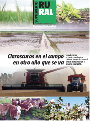 Claroscuros en el campo en otro año que se va