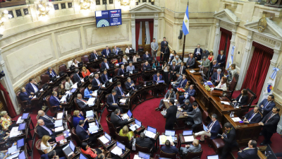 La Cámara alta aprobó la Ley de Solidaridad Social y Reactivación Productiva