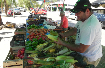 Tarjeta de alimentos: Producción conforma red de proveedores locales