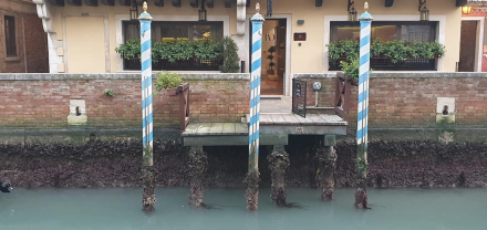 Venecia3.jpg