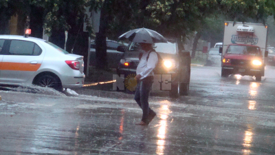 Volvieron las lluvias al Chaco