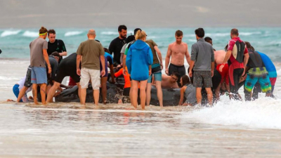 Devolvieron al mar a una ballena y se la comieron los tiburones