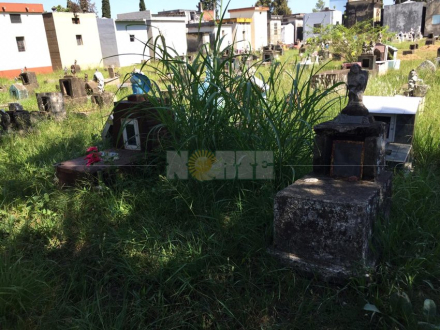 cementerio.jpg