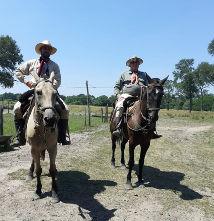caballo.jpg