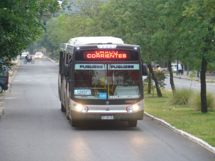colectivo.jpg