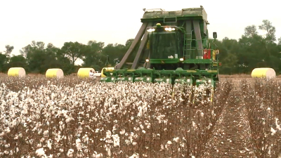 Gran incertidumbre en los productores sobre el impacto que traerá el COVID-19