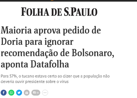 bolsofacho1.jpg