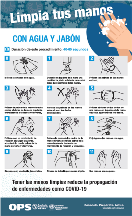 escolar2.jpg