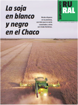 La soja en blanco y negro en el Chaco
