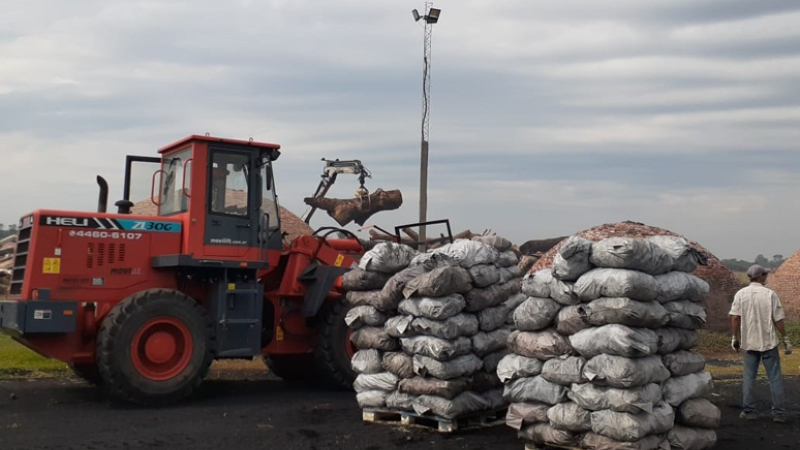 Exportadores de carbón:“La actividad forestal está permitida”