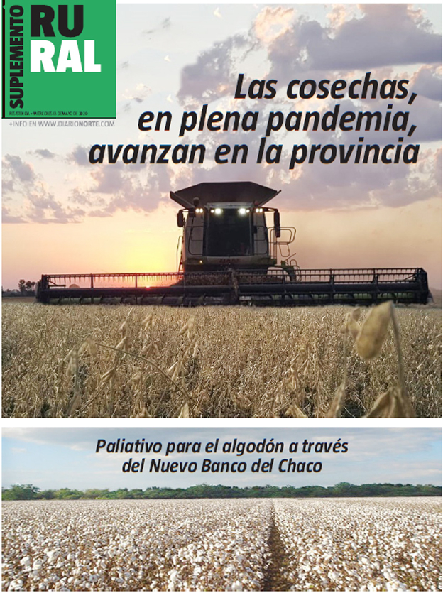 Las cosechas, en plena pandemia, avanzan en la provincia