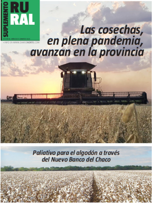 Las cosechas, en plena pandemia, avanzan en la provincia
