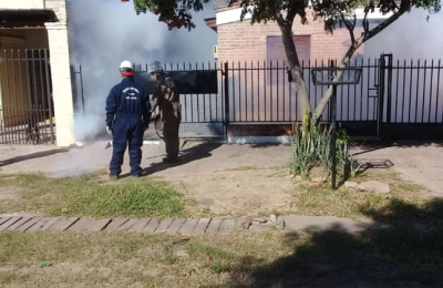 Dengue: los casos siguen aumentando en Sáenz Peña